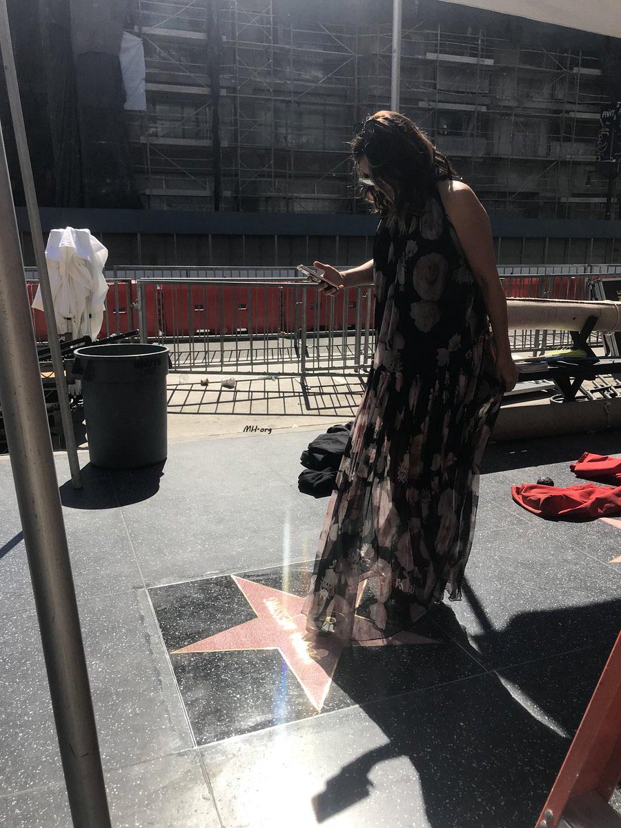 2017 Debra's Walk of Fame Star
